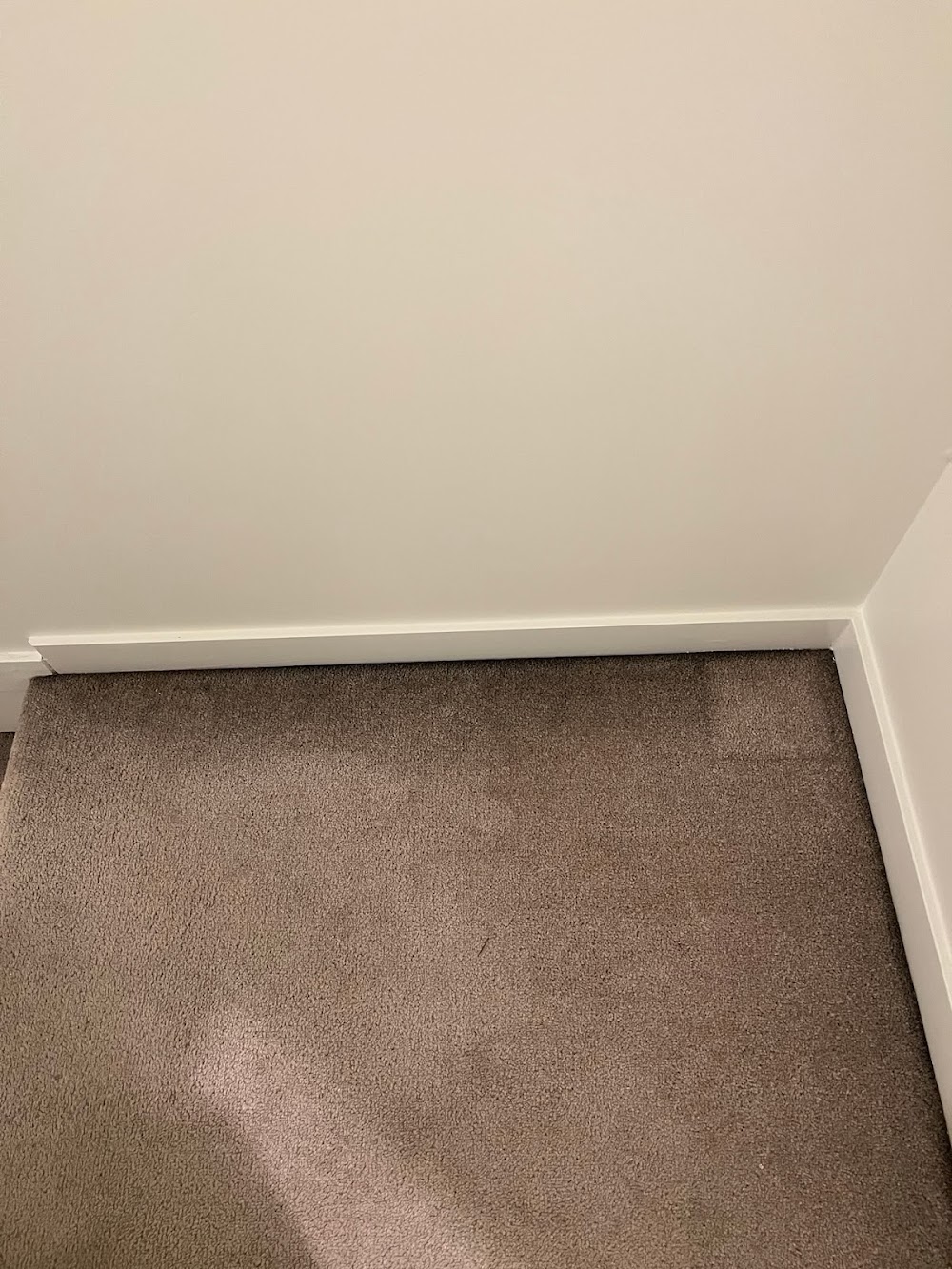 Citrus-O Carpet Care